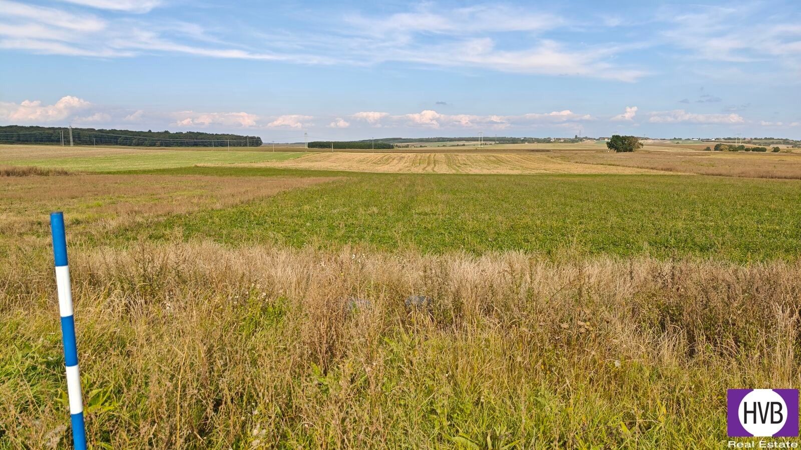 Pozemek pro bydlení · 3 767 m² · Bělušice - 4