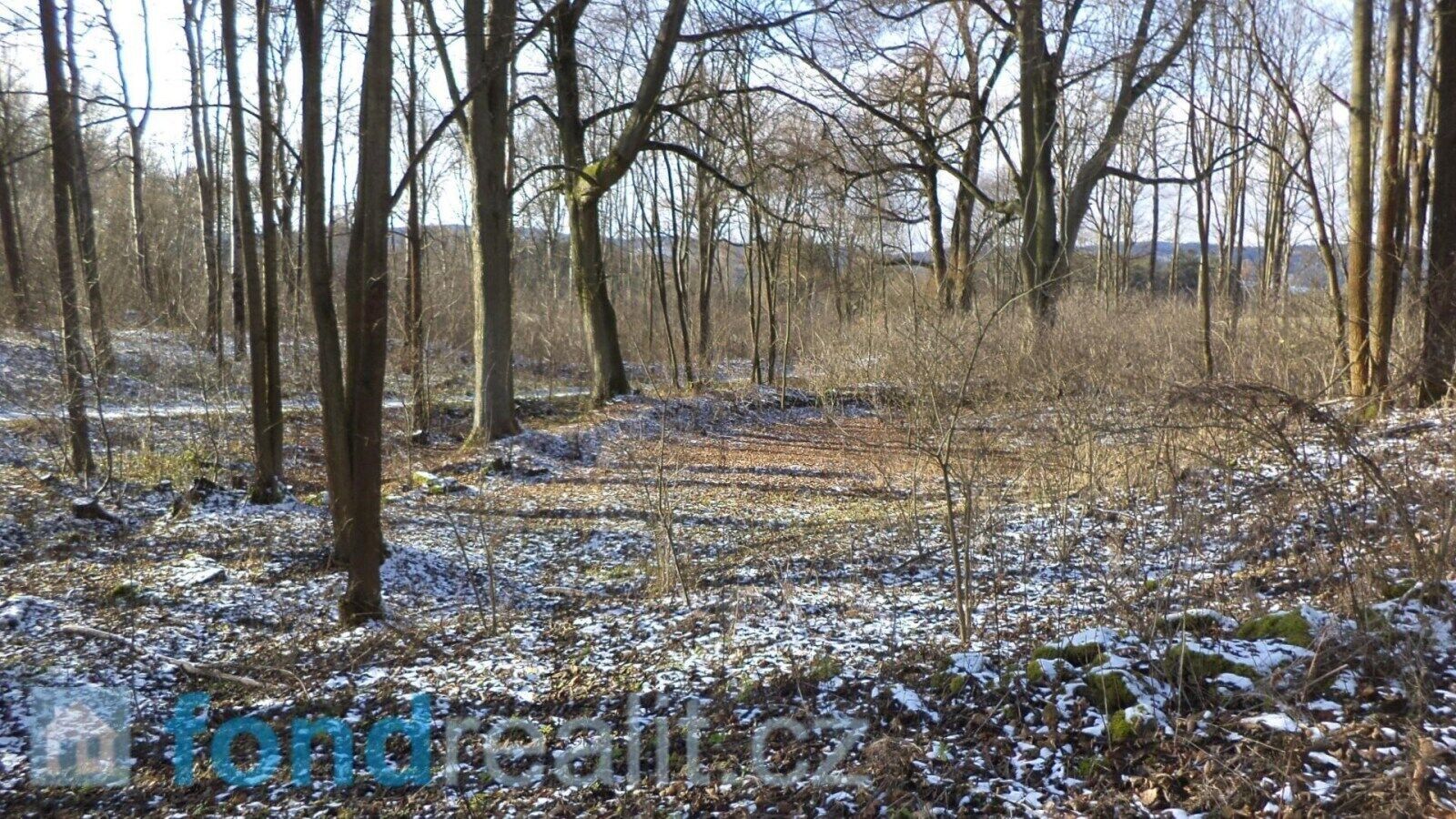 Ostatní, Staré Město pod Landštejnem – další