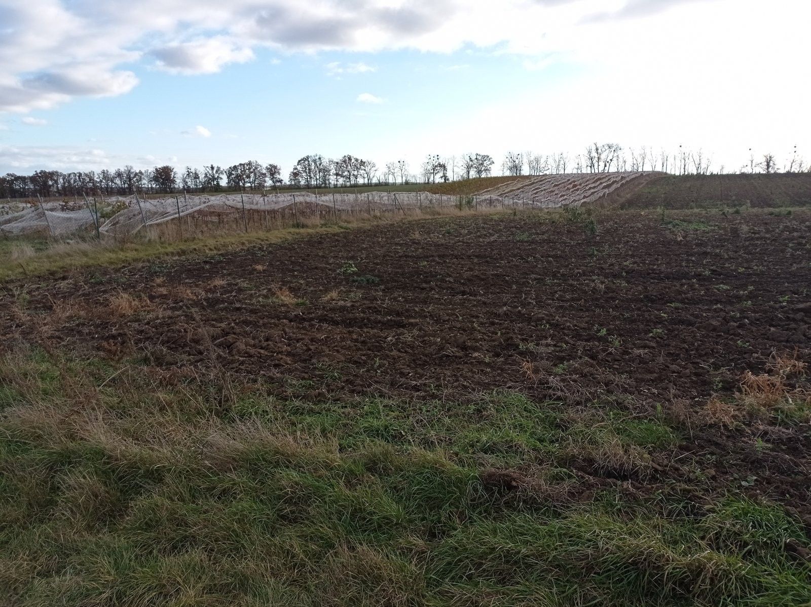 Pozemek · 25 617 m² · Sedlec - 4