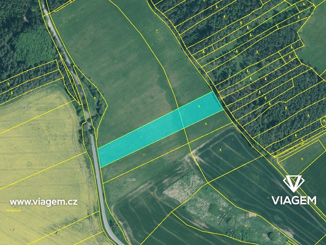 Zemědělský pozemek · Slabčice, okres Písek - 4