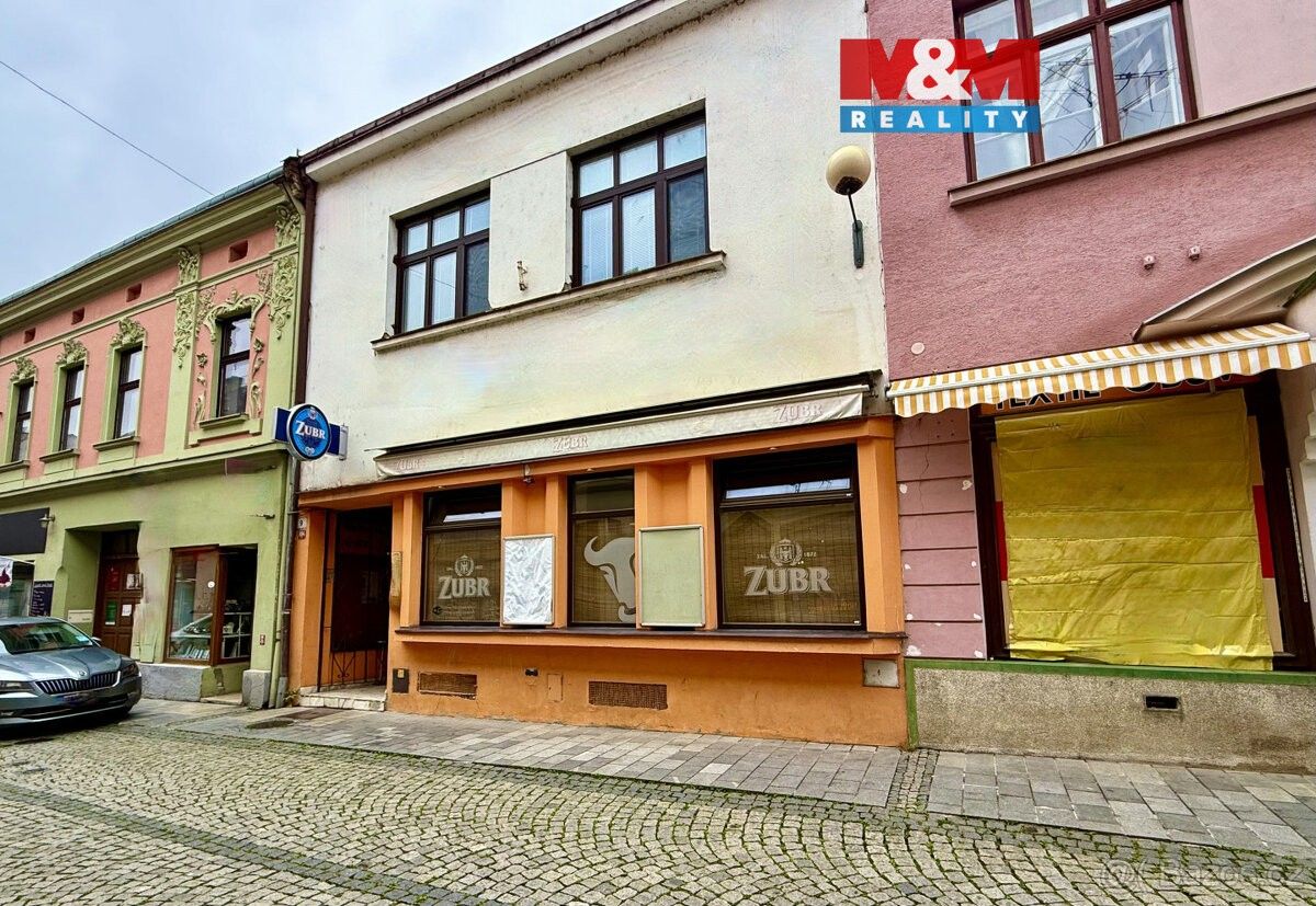 Ostatní, Přerov, 750 02, 200 m²