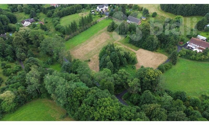 Louky, Dolní, Pertoltice