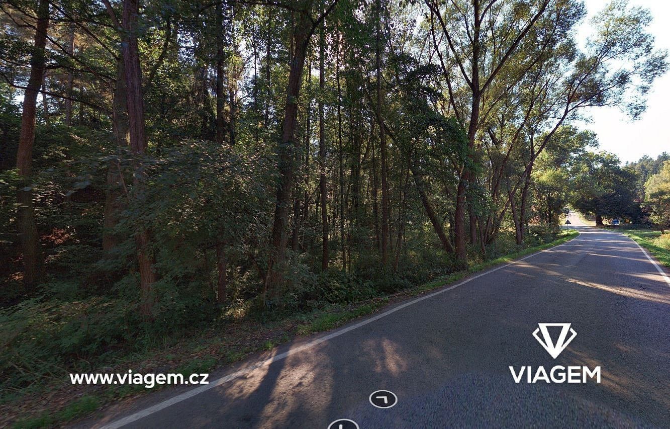 Prodej les - Plasy, okres Plzeň-sever, Plzeňský kraj - 2