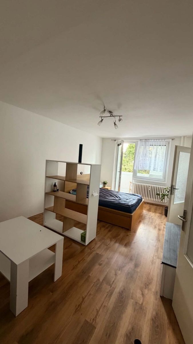 1+1, Rerychova, Brno - Bystrc, Jihomoravský kraj, 44 m² - 1