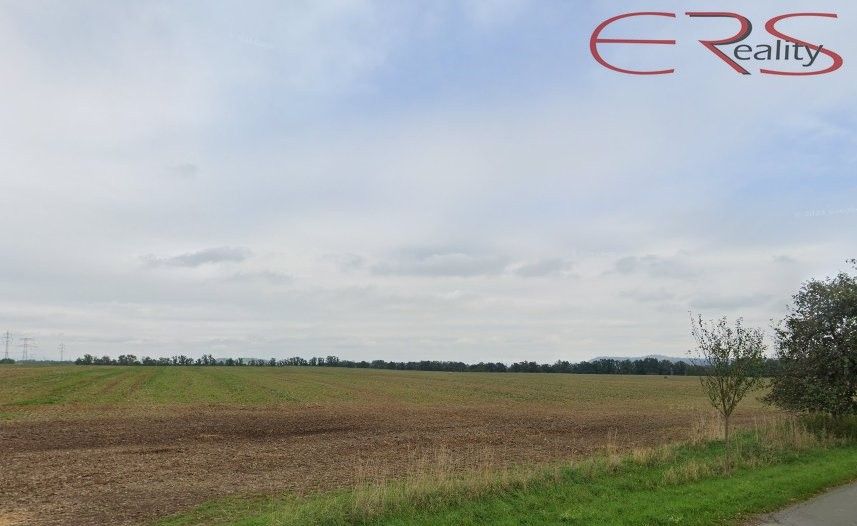 Zemědělské pozemky, Ptýrov