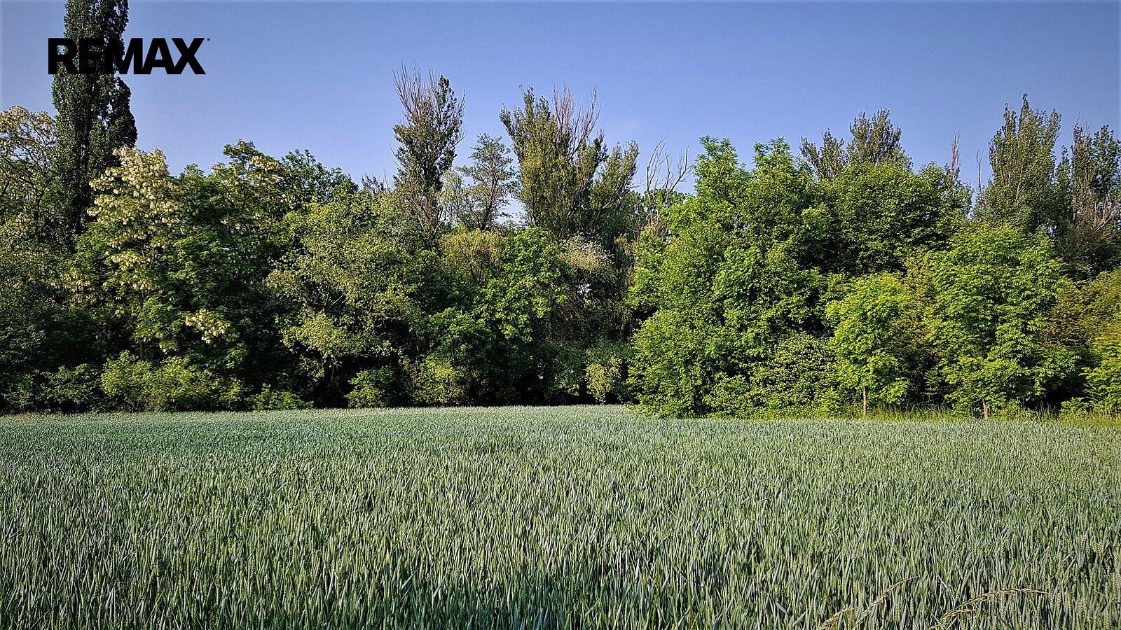 Prodej pozemek - Hospozín, okres Kladno, Středočeský kraj - 2