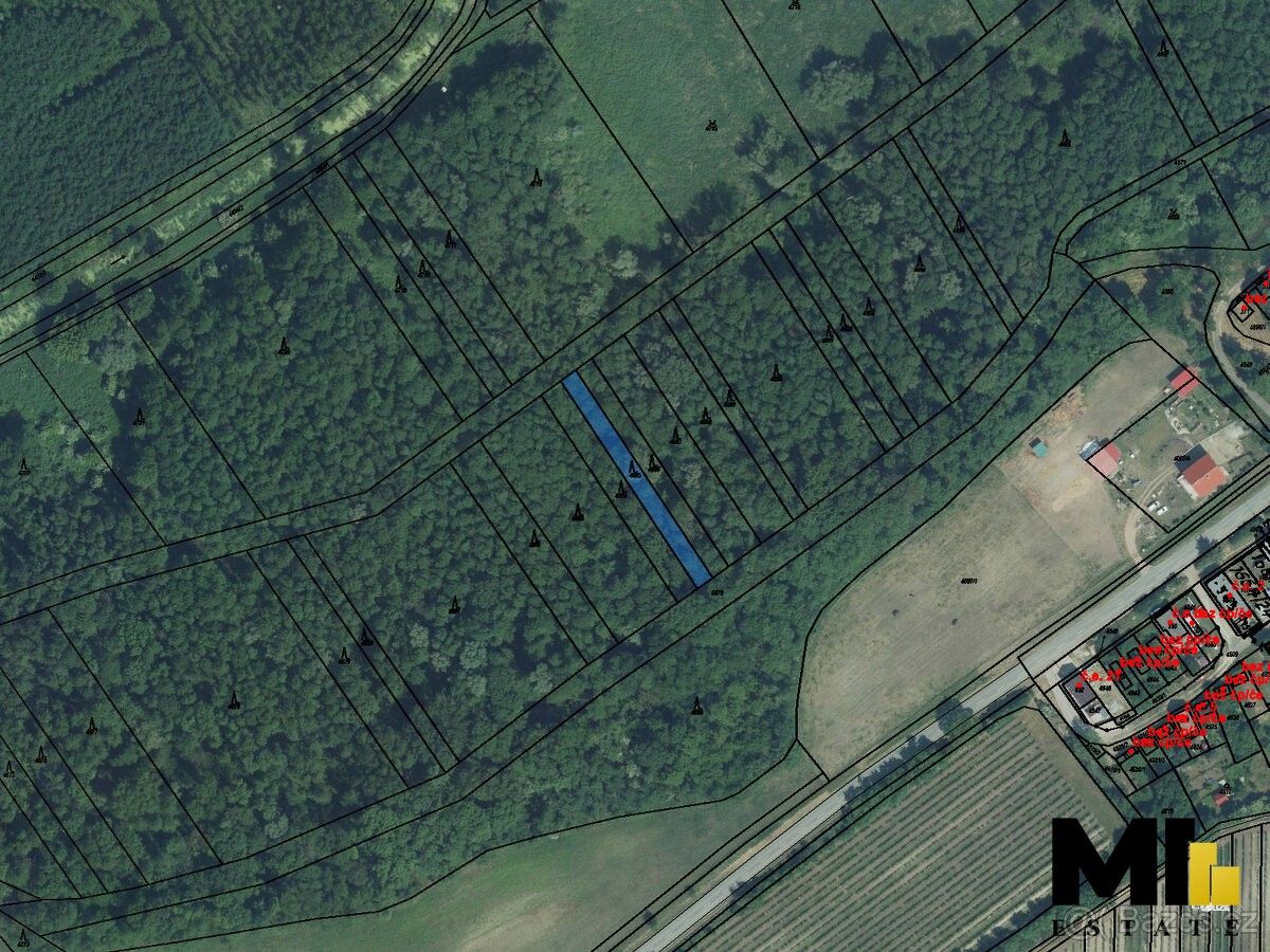 Prodej les - Březí u Mikulova, 691 81, 155 m²
