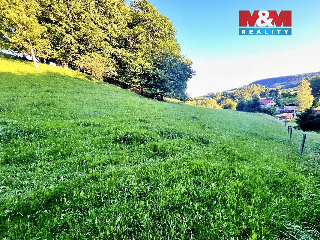 Louka · Teplice nad Metují - Horní Teplice, okres Náchod, Královéhradecký kraj - 4