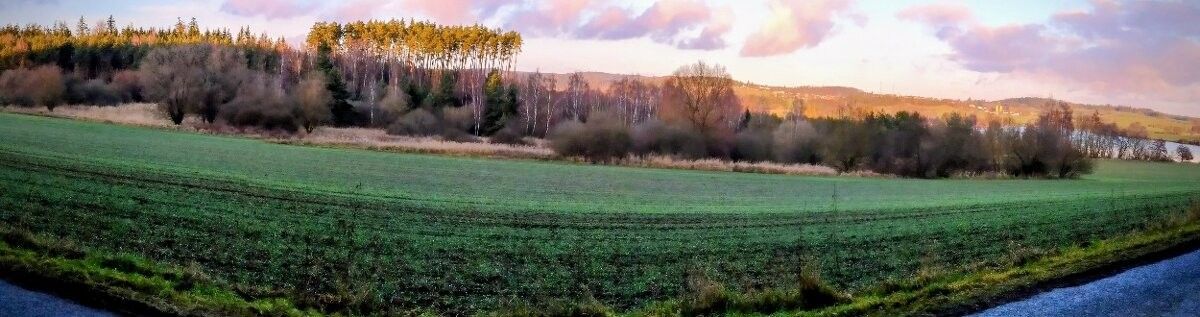 Pozemky pro bydlení, Plzeň, 312 00