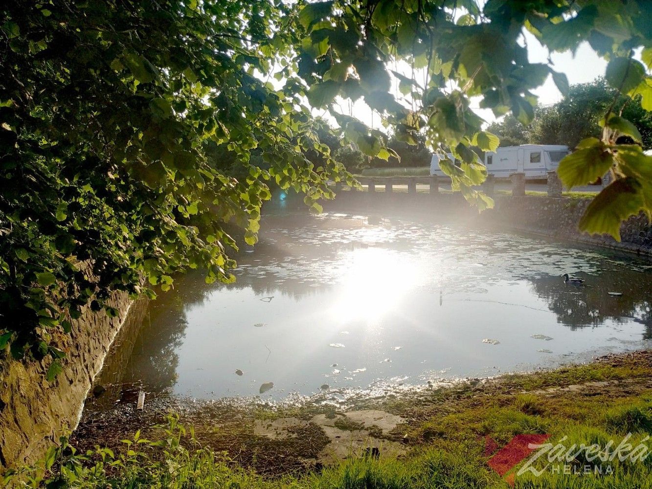 Prodej les - Chorušice, okres Mělník, Středočeský kraj - 5