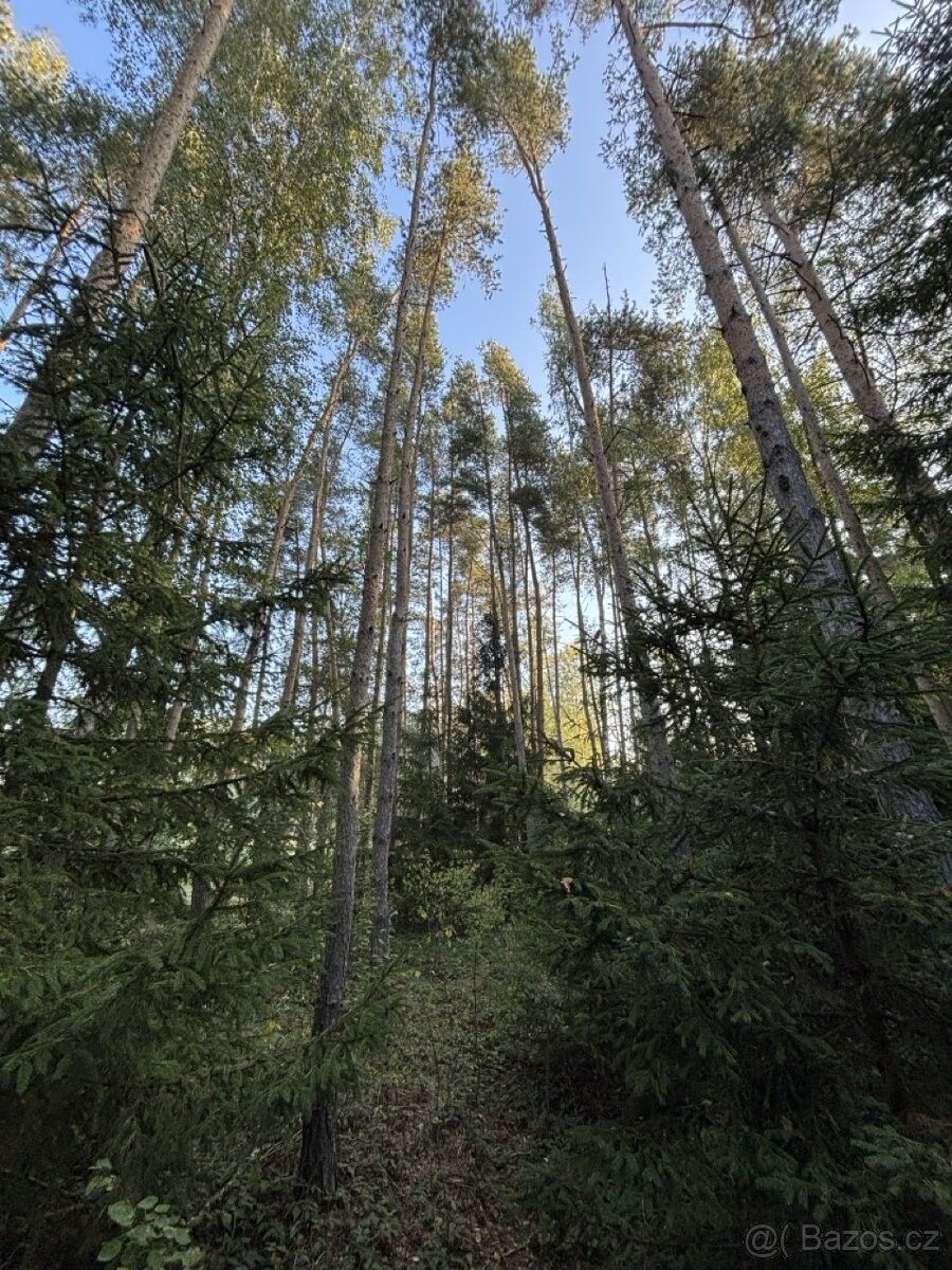 Pozemky pro bydlení, Krásná Hora u Havlíčkova Brodu, 582 34