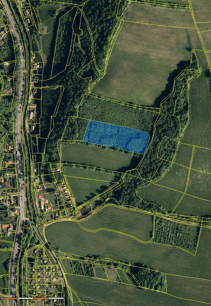 Prodej les - Nový Jičín - Bludovice, Moravskoslezský kraj - 5