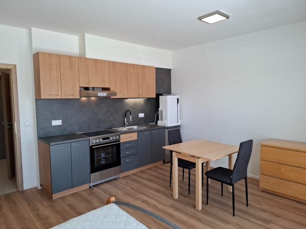 1+kk, Řepova, Brno - Horní Heršpice, Jihomoravský kraj, 32 m² - 1