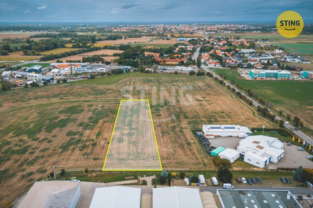 Komerční pozemek · 6 059 m² · Mikulovice Blato - 3