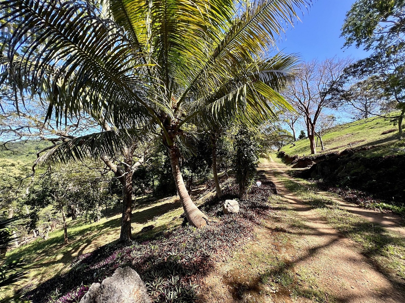 Pozemek pro bydlení · Coxen Hole, Roatán, Honduras - 4