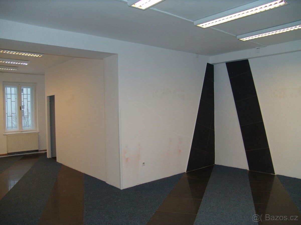 Obchodní prostory, Ostrava, 702 00