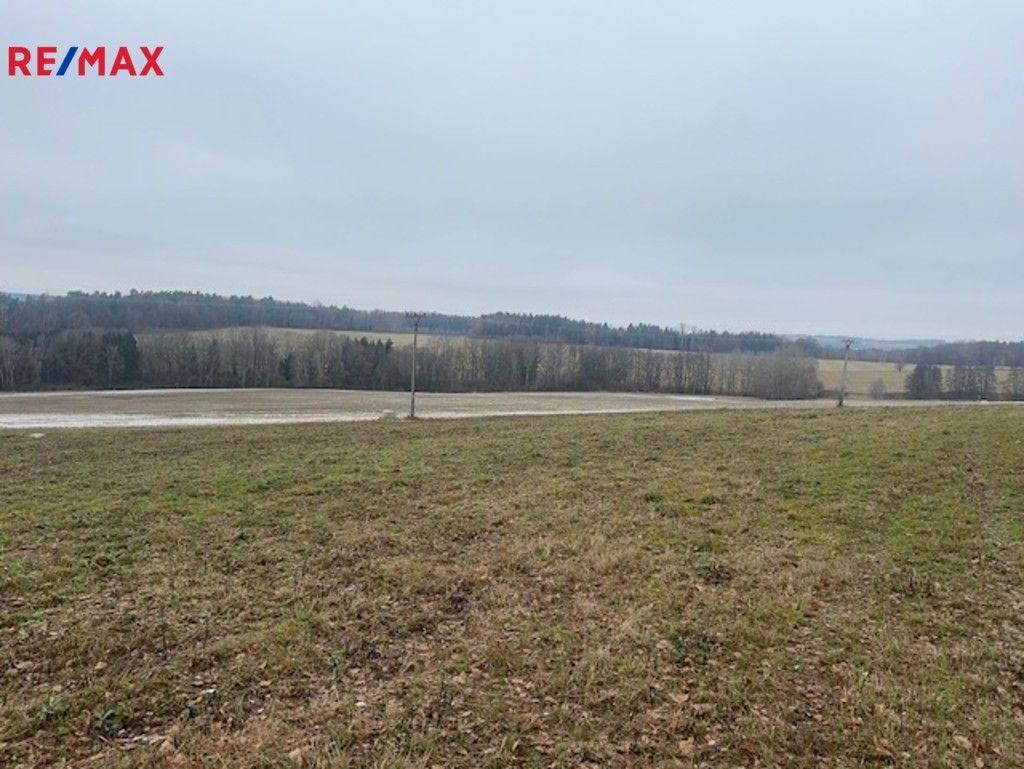 Prodej pozemek pro bydlení - Střížov, 7 m²