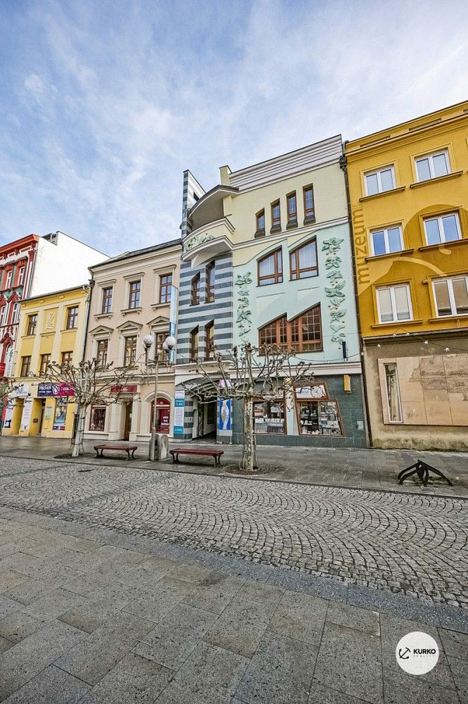 Obchodní prostory, Opava - Město, Moravskoslezský kraj, 1 670 m² - 1