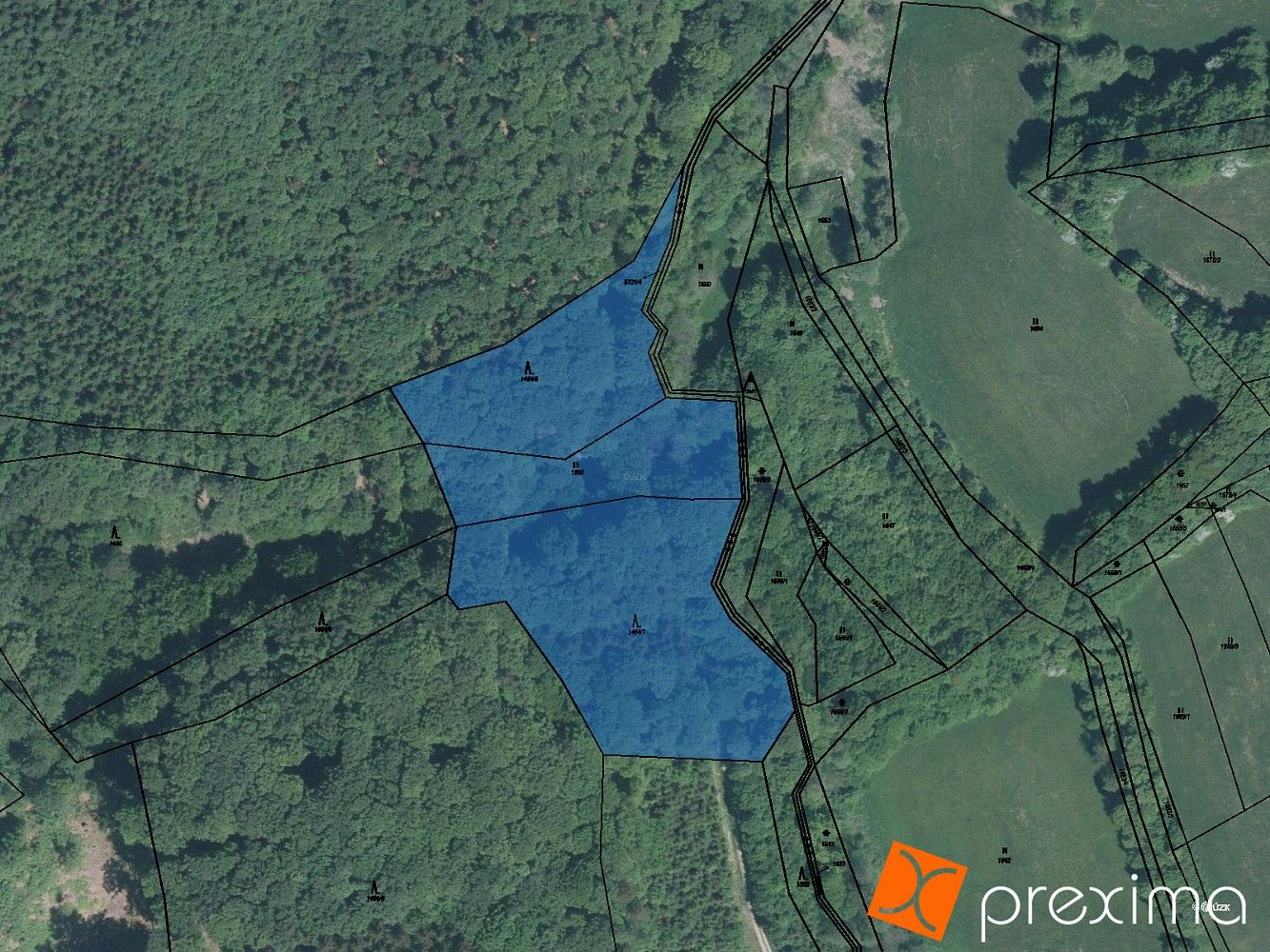 Lesy, Štítná nad Vláří-Popov, okres Zlín, Zlínský kraj