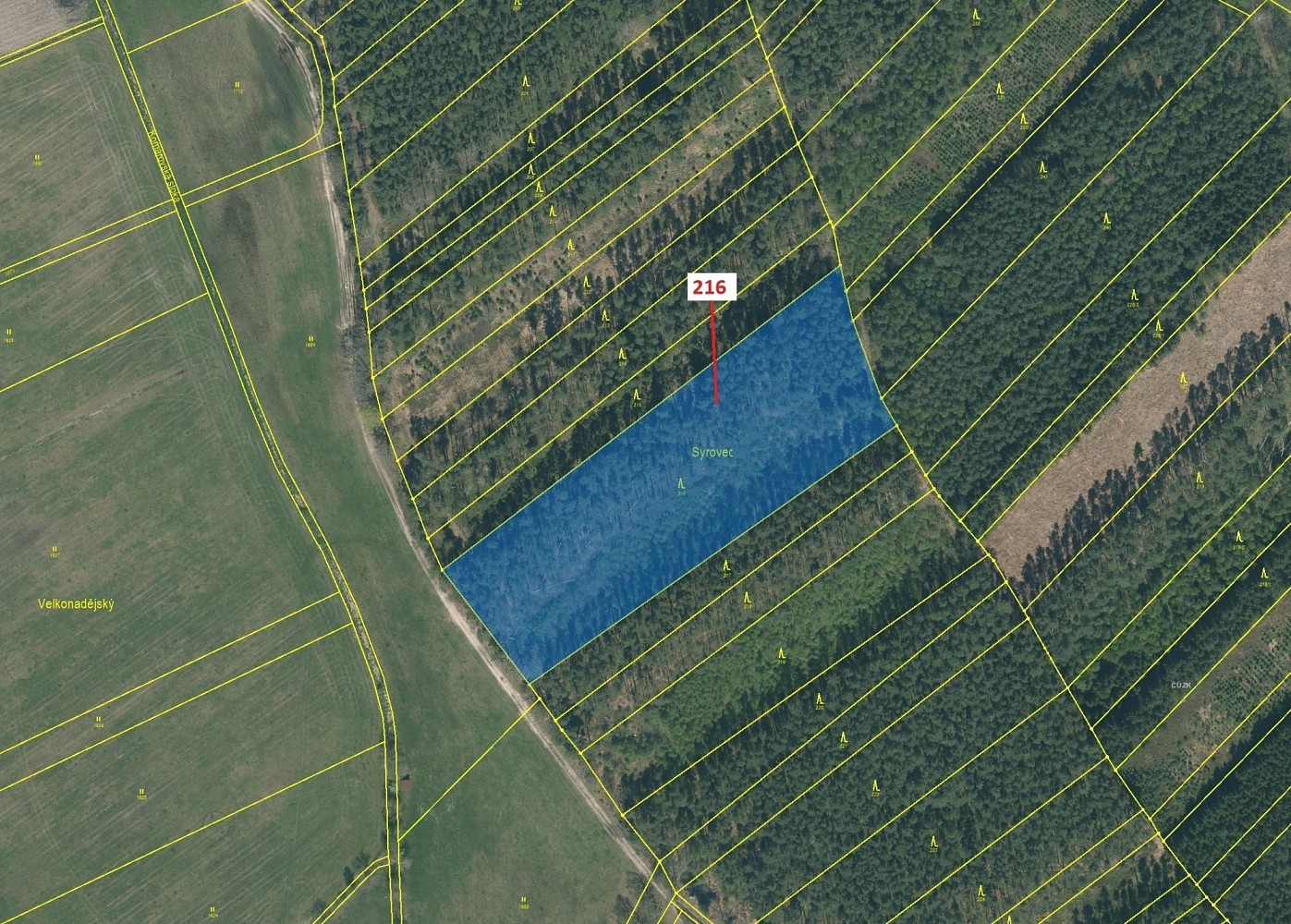 Lesy, Komárov - 2