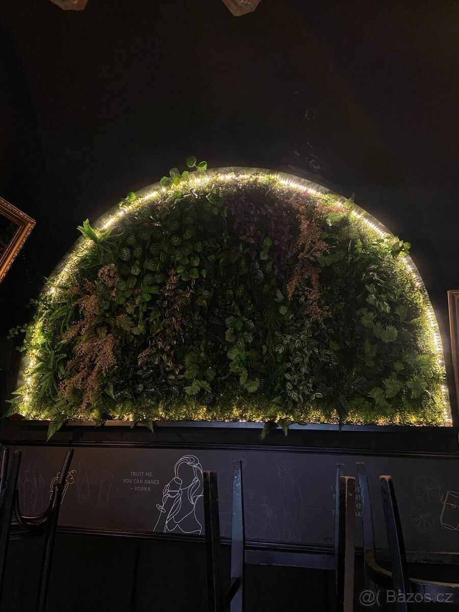 Restaurace, Olomouc, 779 00