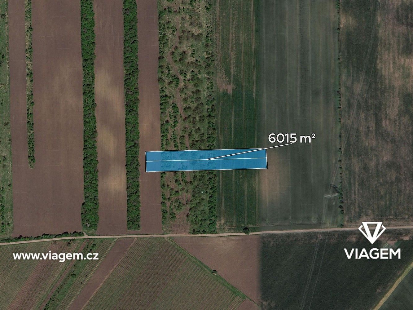 Zemědělské pozemky, Hrušky, okres Břeclav, Jihomoravský kraj - 2