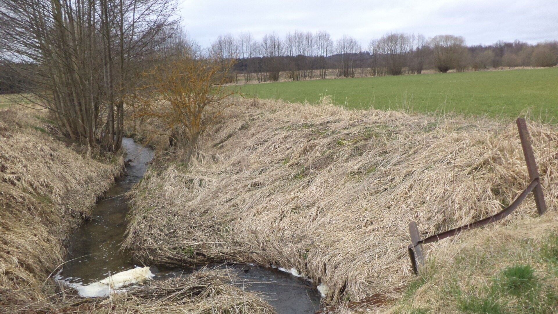 Prodej zemědělský pozemek - Dolní Radouň, Jindřichův Hradec, 11 m²