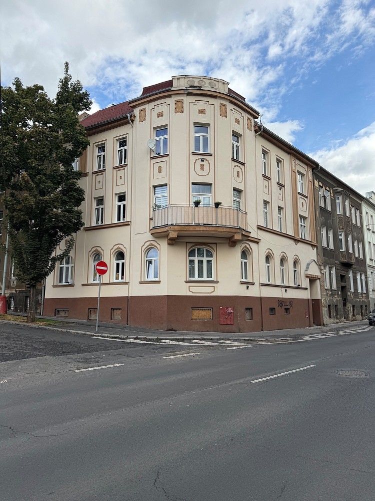 Činžovní domy, Ústí nad Labem - Ústí nad Labem-centrum, Ústecký kraj, 344 m² - 1