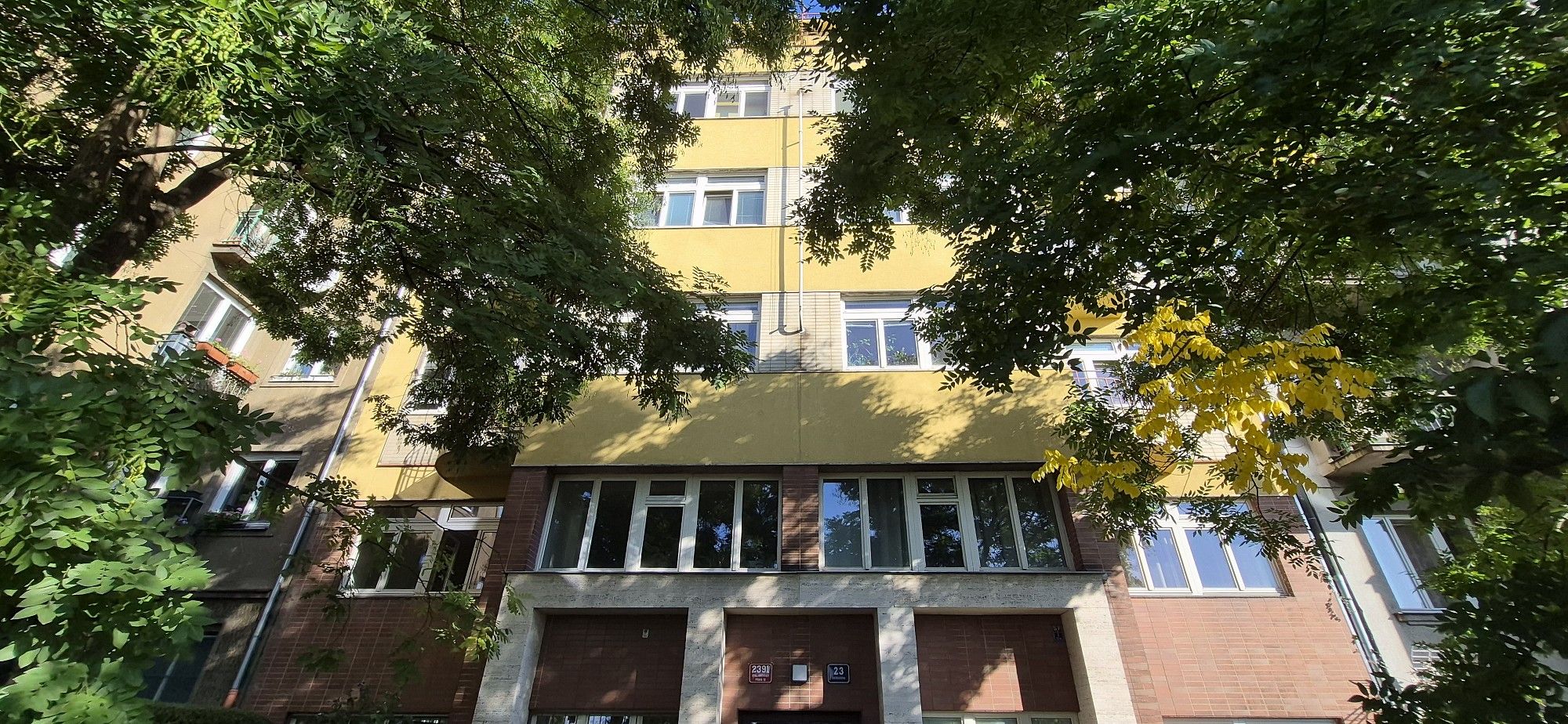 1+kk, Šrobárova, Praha 3 - Vinohrady, 20,2 m² - 2