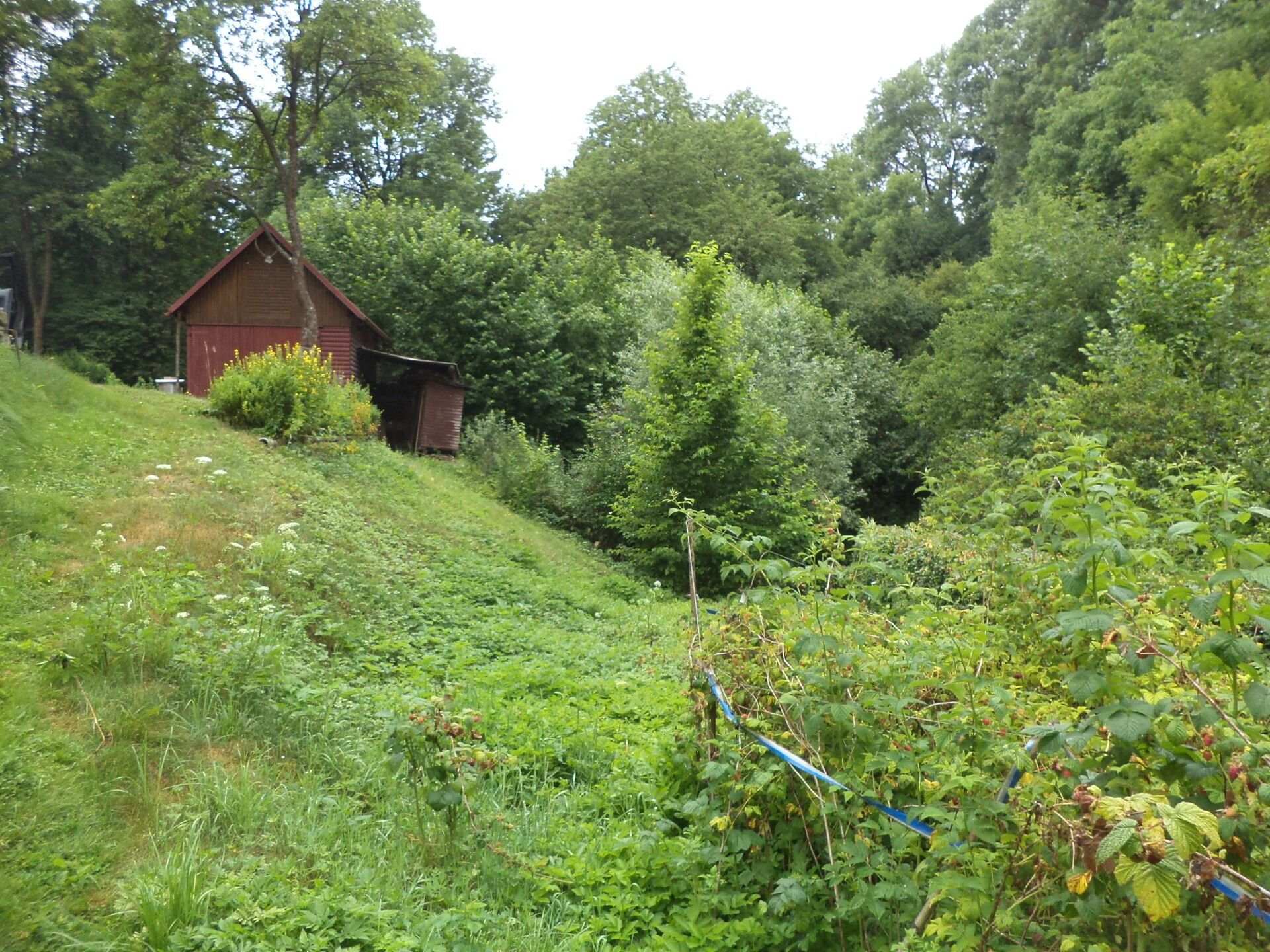 Pozemek, 720 m²