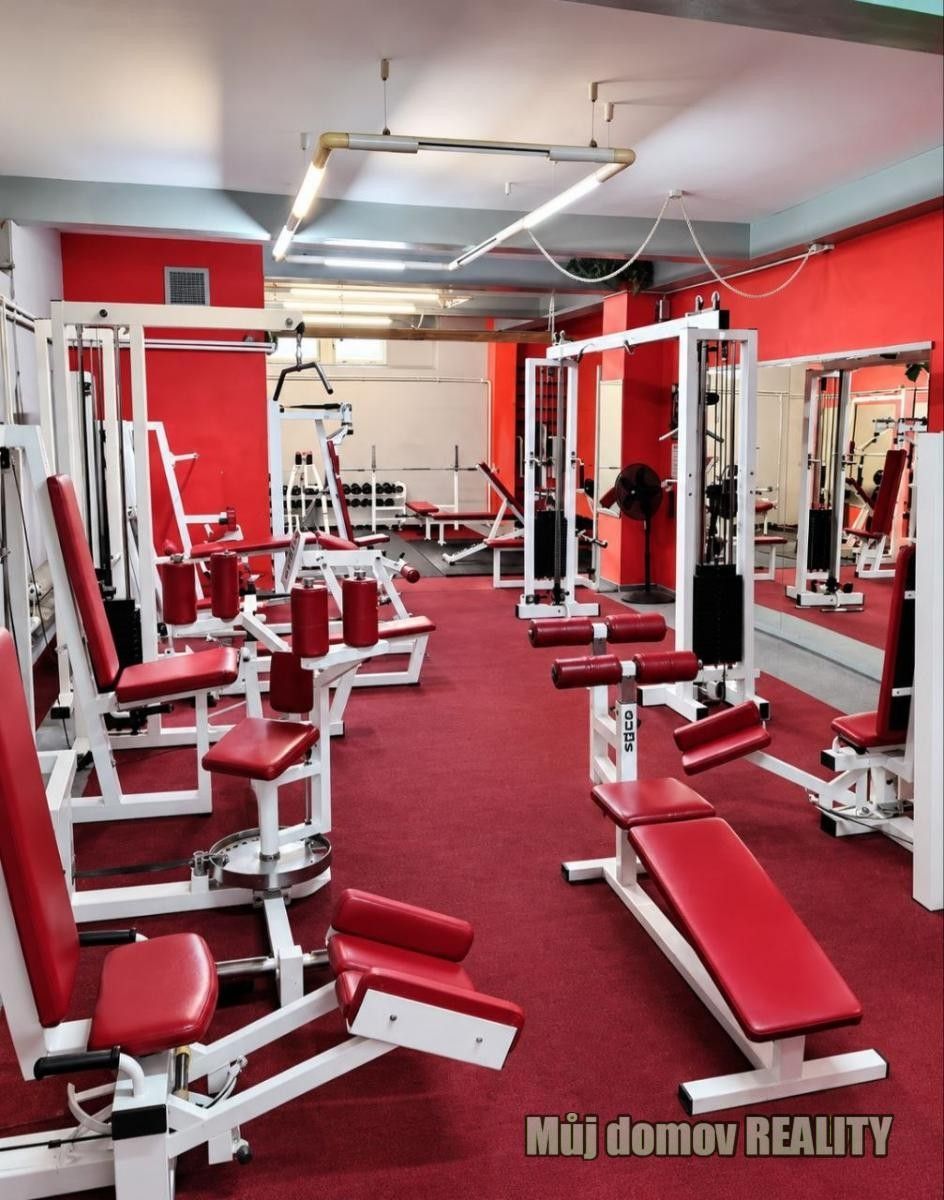 Pronájem obchodní prostory - Čihákova, Praha, 90 m² - 5