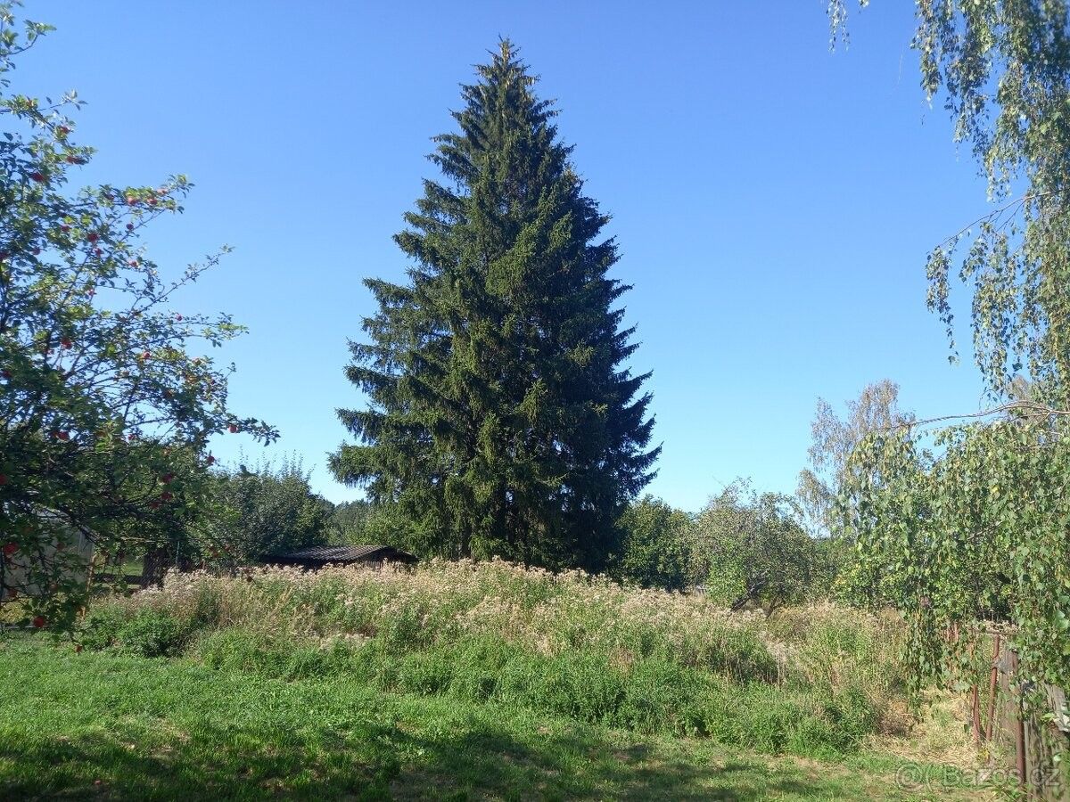 Pozemek pro bydlení · Jedlová u Poličky, 569 91 - 4