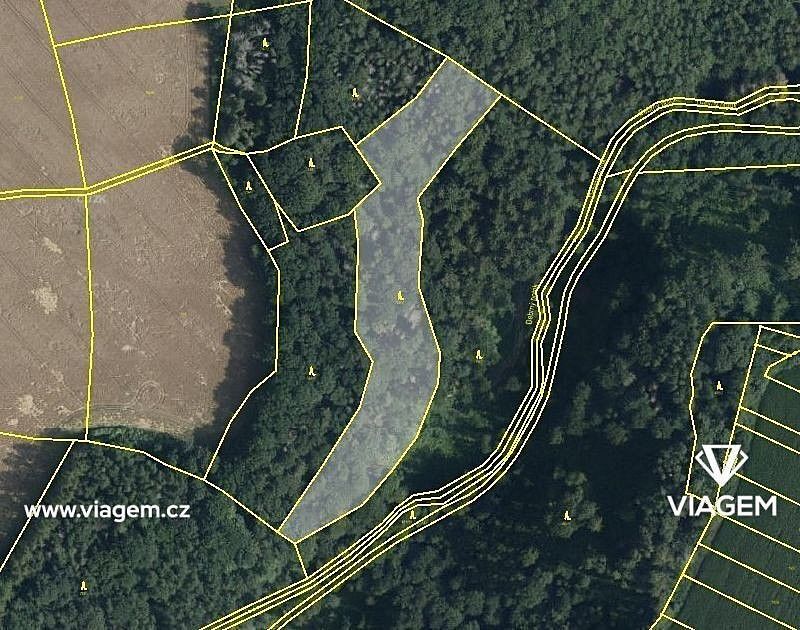 Prodej les - České Lhotice, okres Chrudim, Pardubický kraj - 1