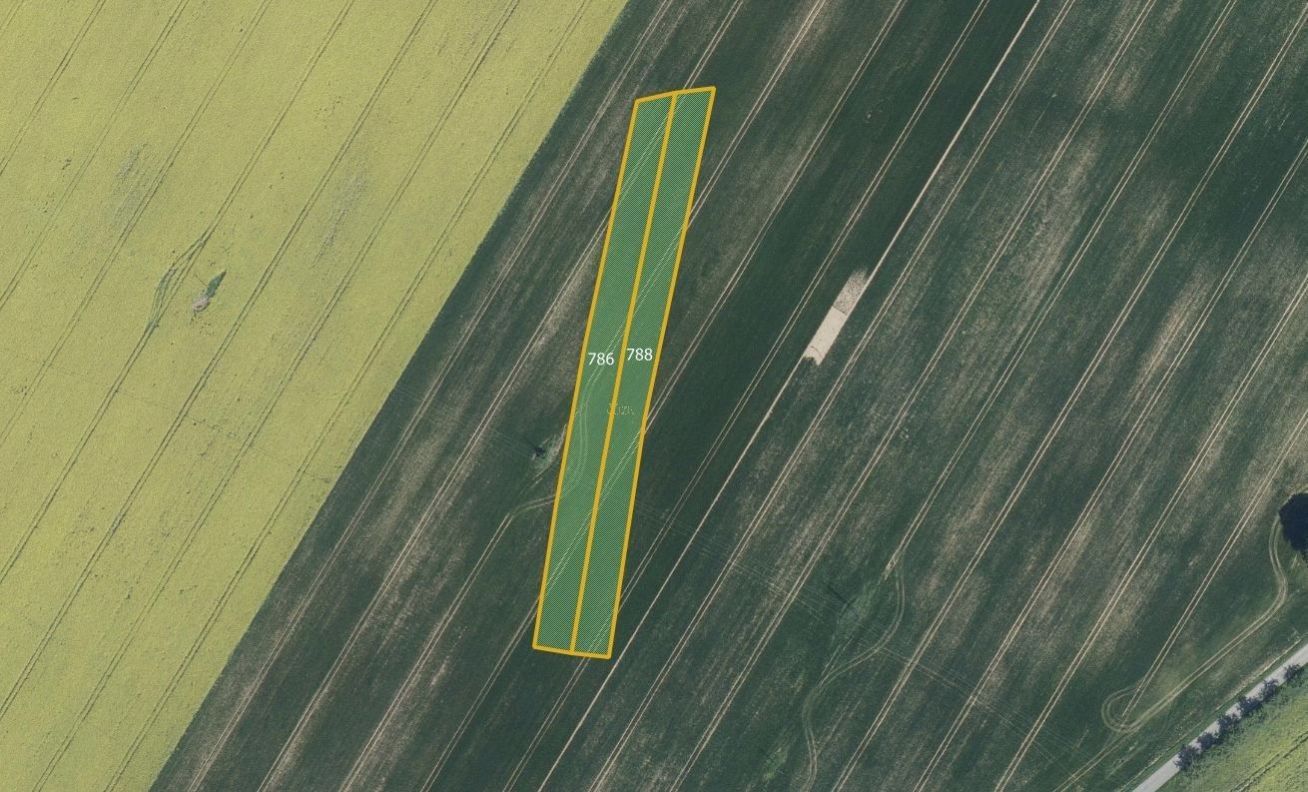 Prodej zemědělský pozemek - Nové, Vyklantice