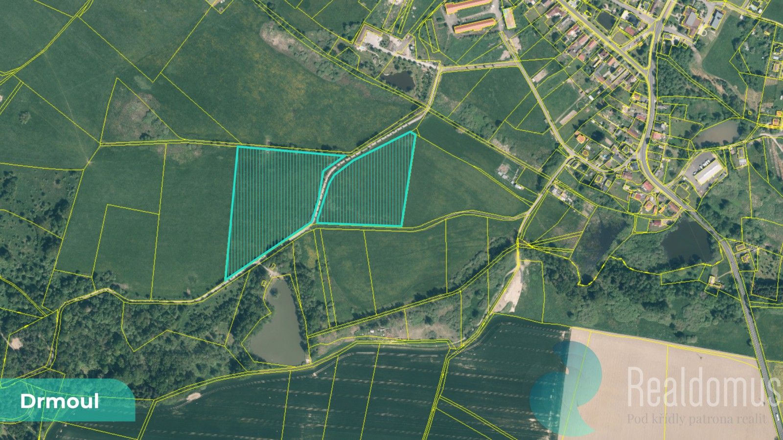 Prodej louka - Drmoul, 12 559 m² - 2