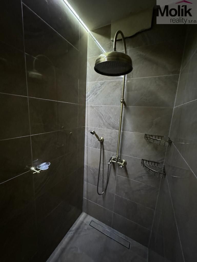 Pronájem rodinný dům - Lesní stezka, Háj u Duchcova, 160 m² - 5