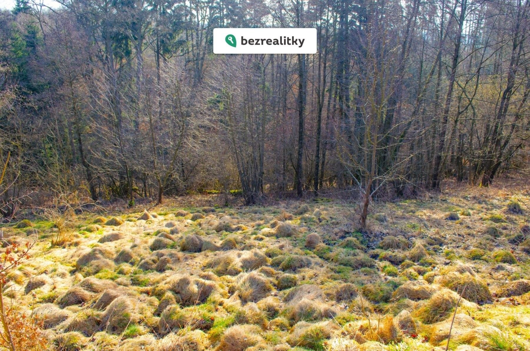 Prodej pozemek pro bydlení - Nová Ves