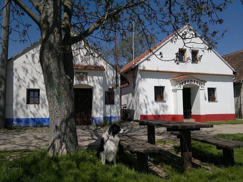 Chaty, Dolní Bojanovice - Dolní Bojanovice, Jihomoravský kraj