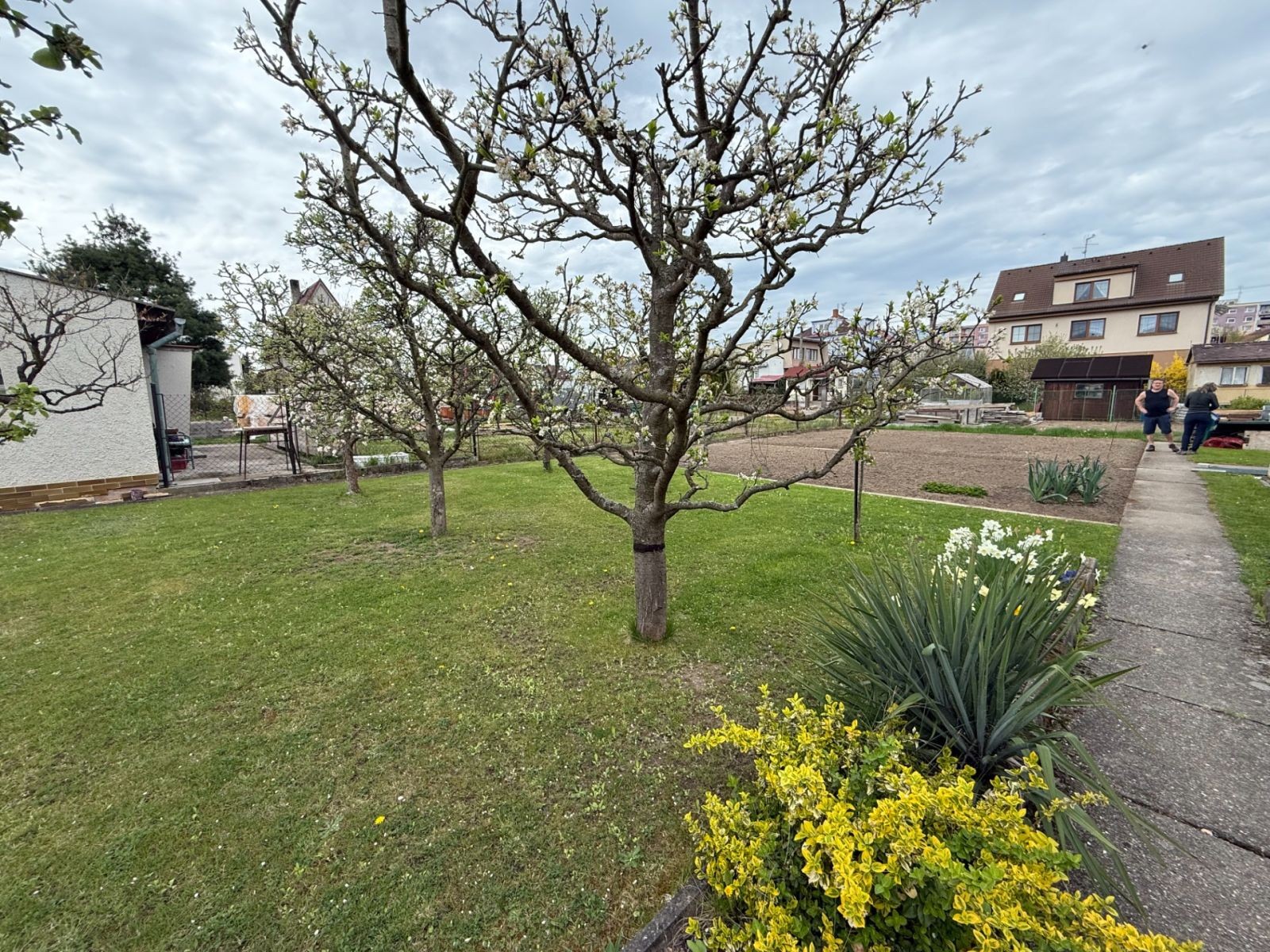 Zahrada · 47 m² · Nýřany - Nýřany, Plzeňský kraj - 4