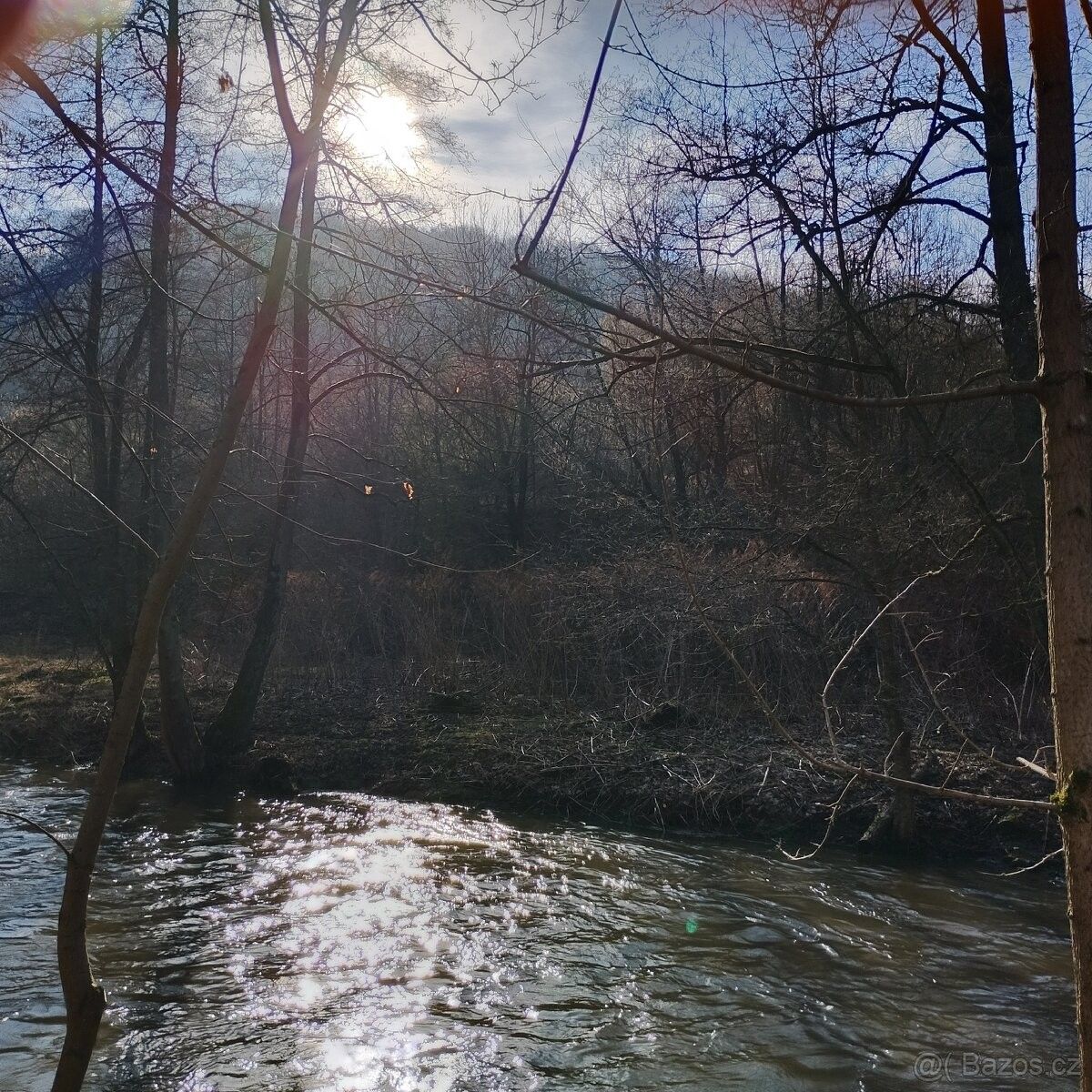 Zahrada