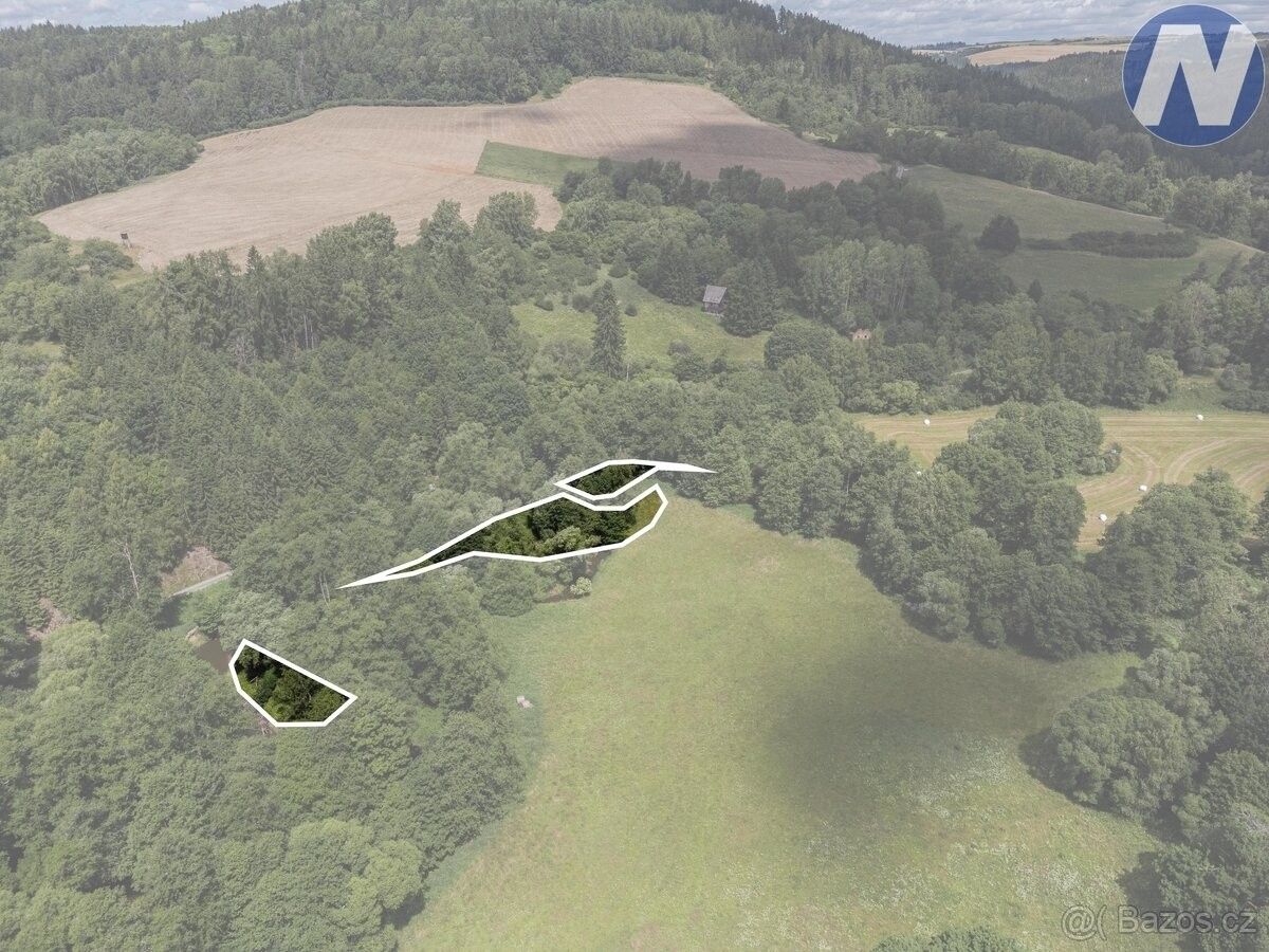 Prodej pozemek pro bydlení - Planá u Mariánských Lázní, 348 15