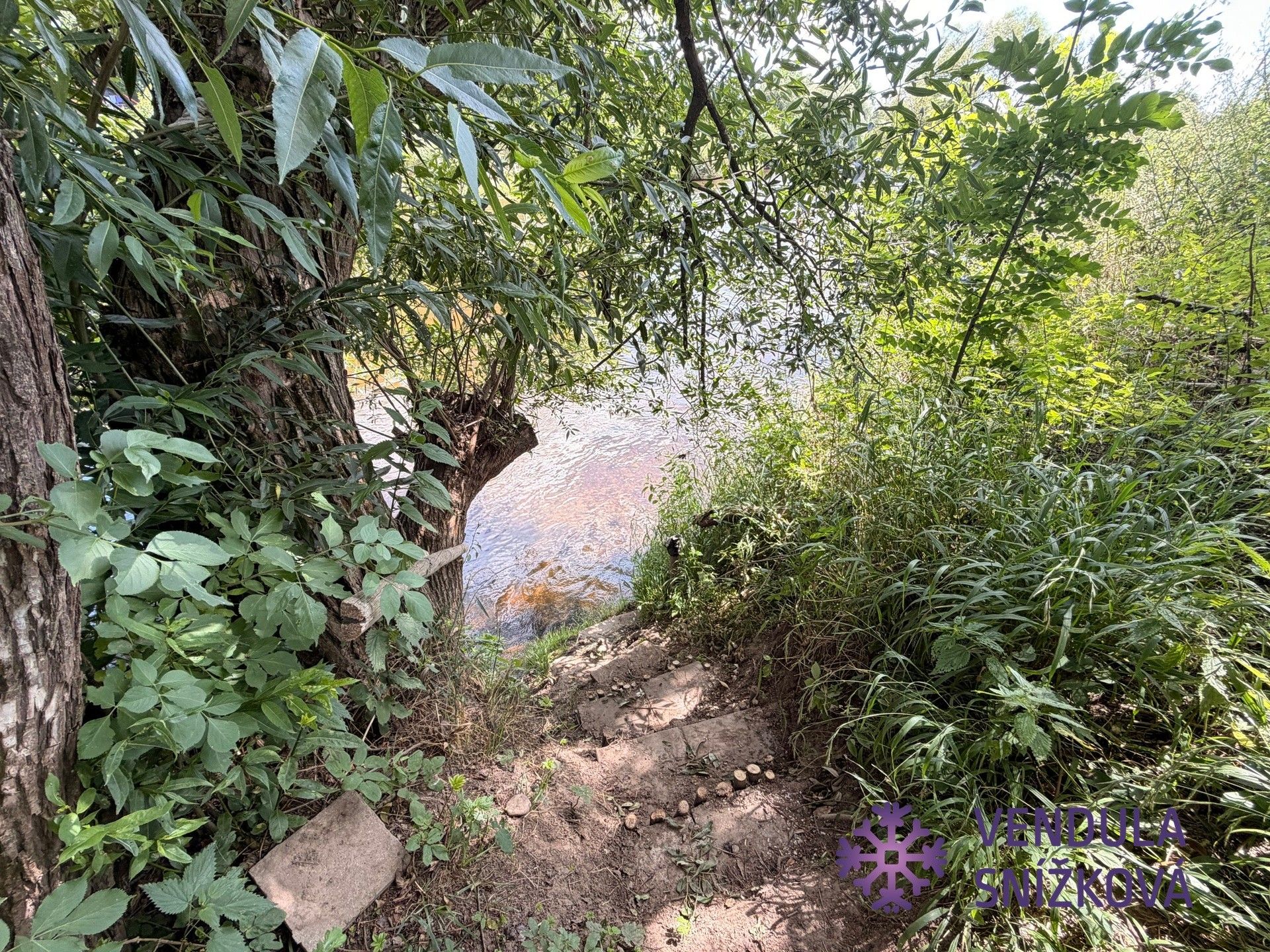 Prodej chata - Otradovice, Skorkov, 33 m² - 5