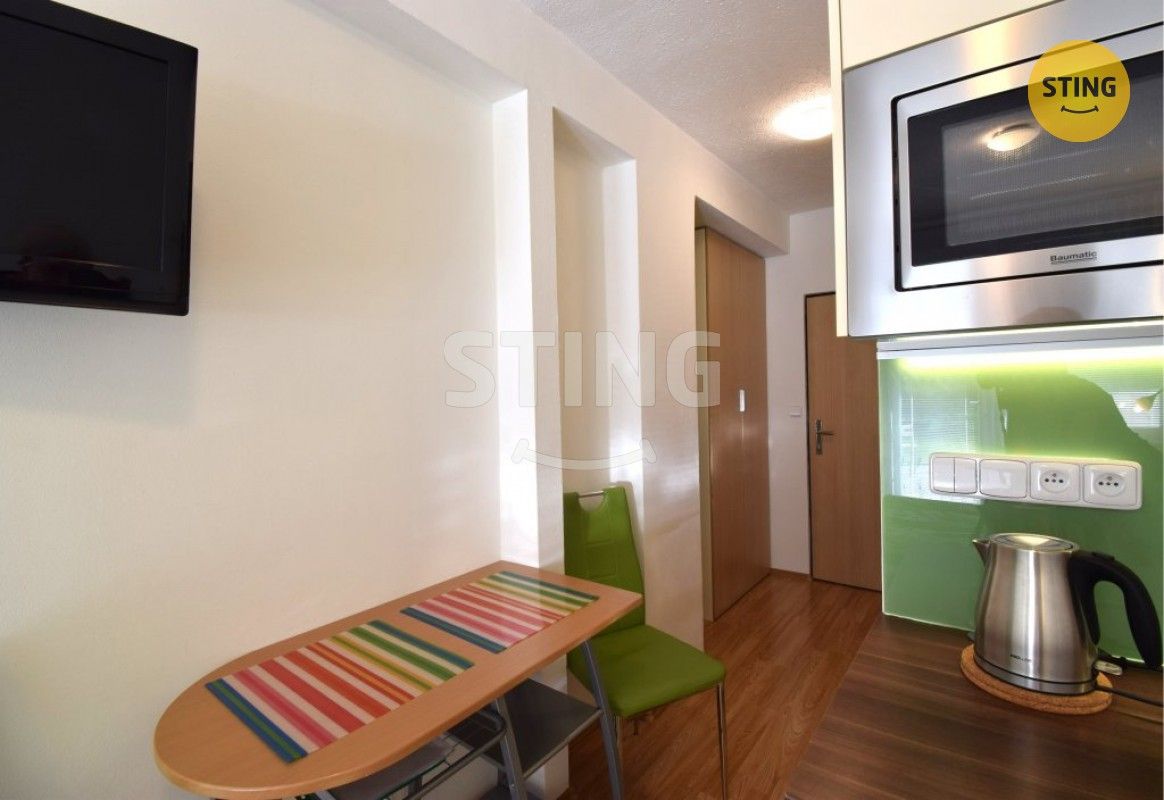 Pronájem byt 1+kk - Všemina, 24 m²
