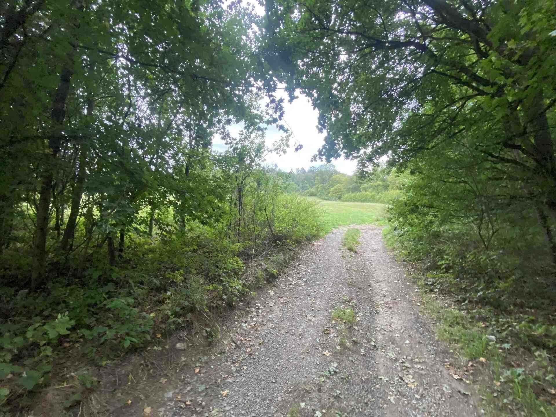 Zemědělský pozemek · 950 m² · Potštejn - 3