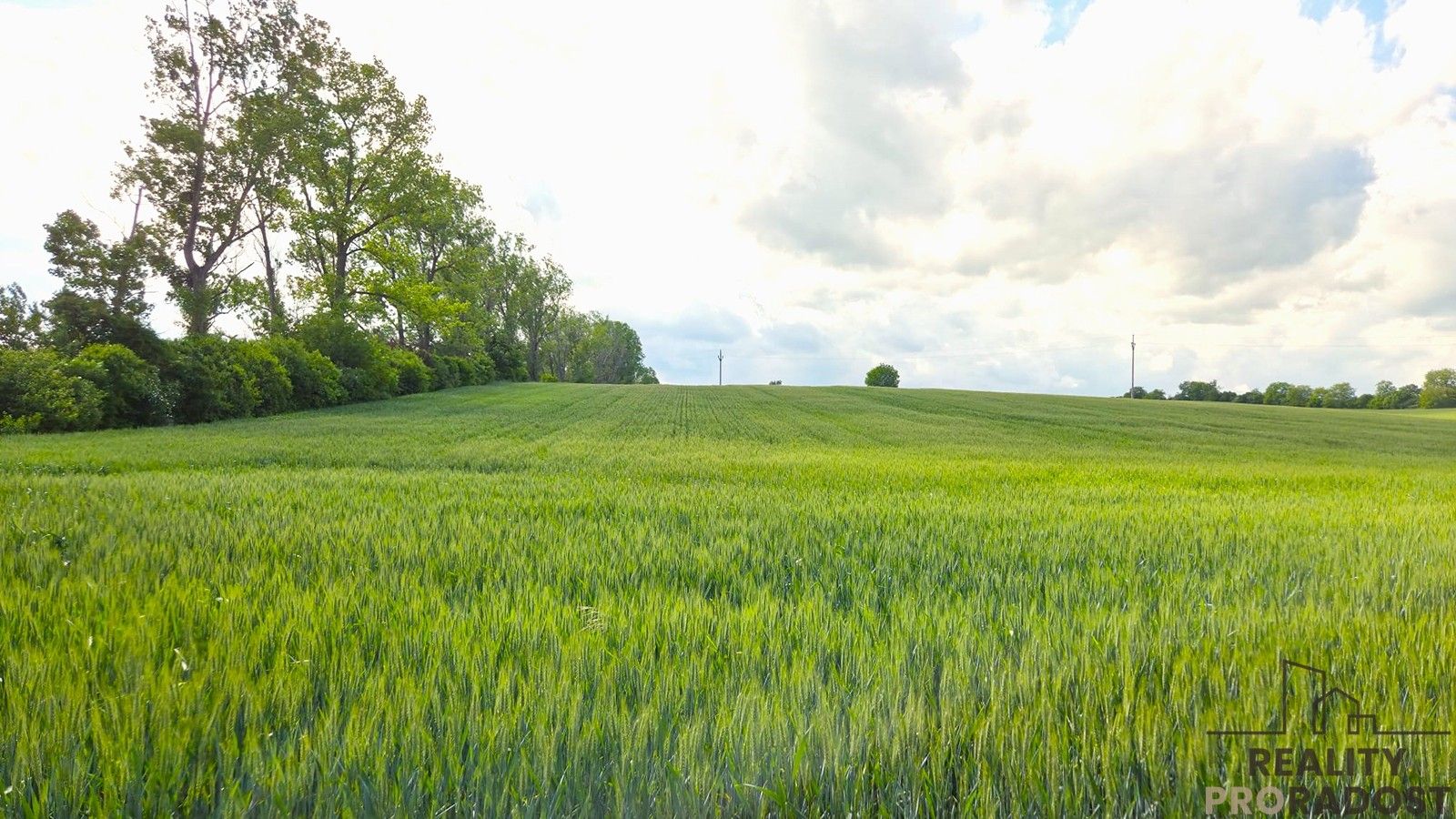 Prodej zemědělský pozemek - , Kyjov, 2 m²