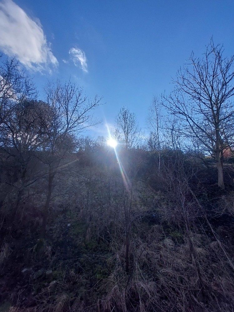 Prodej pozemek pro bydlení - Blansko, 678 01