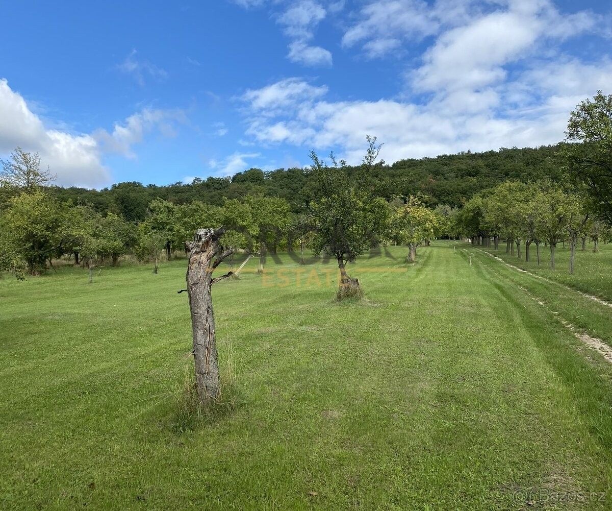 Prodej chata - Moravany u Kyjova, 696 50