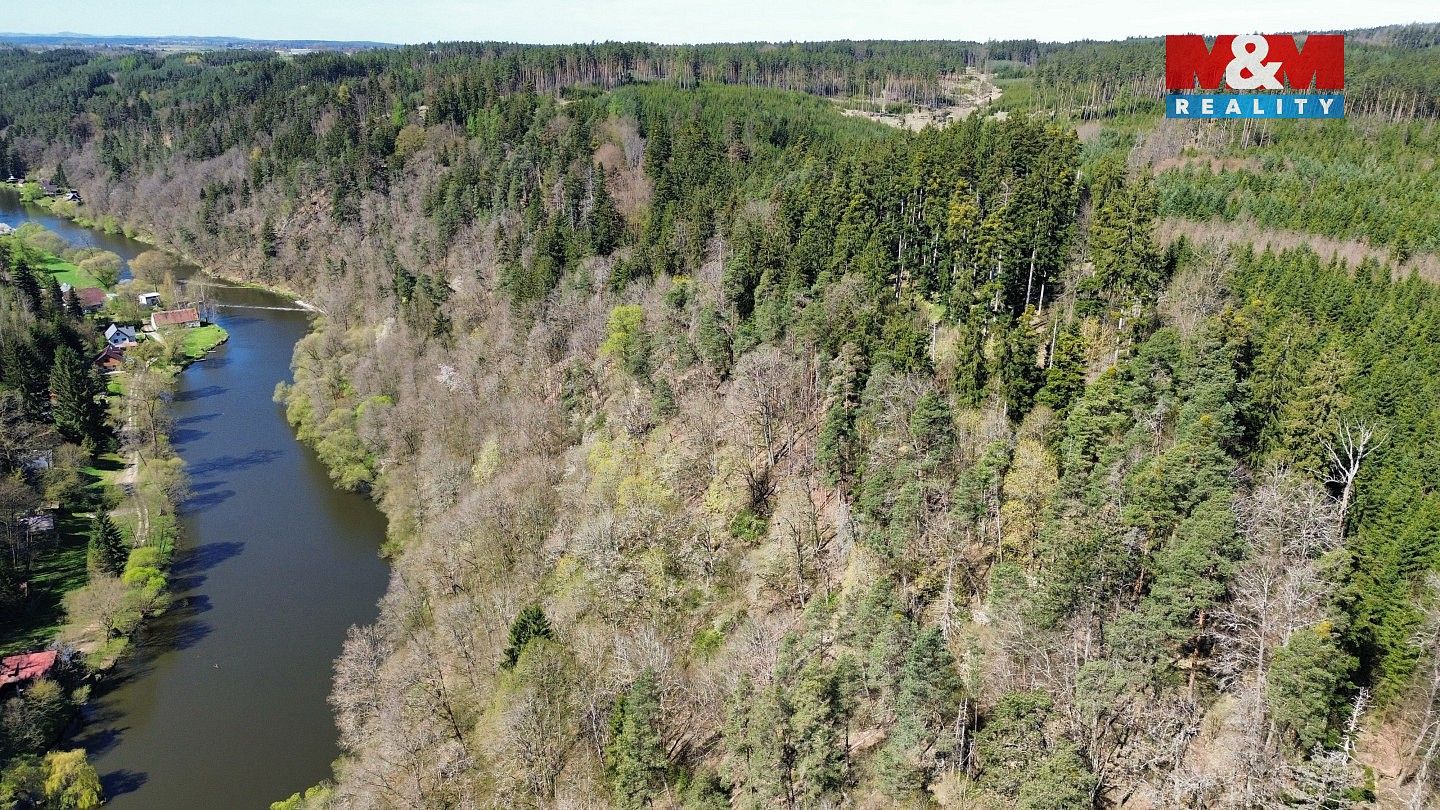 Les · Řepeč, okres Tábor, Jihočeský kraj - 3