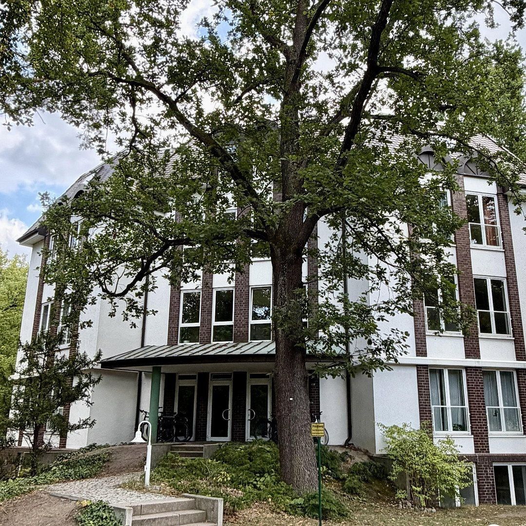 5+1, August-Bebel-Str. 86 Potsdam Babelsberg Brandenburg 14482, 120 m² - 2