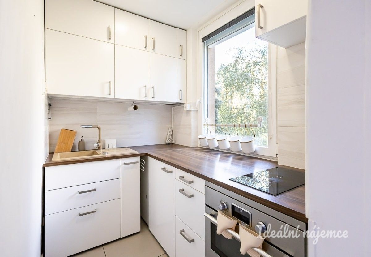 1+1, Kunínova, Praha, 31 m² - 1